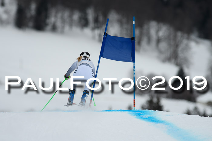 Int. FIS Rennen + NJC  AC Damen, FIS SG, Götschen, 01.02.2019
