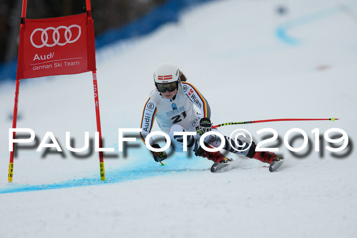 Int. FIS Rennen + NJC  AC Damen, FIS SG, Götschen, 01.02.2019
