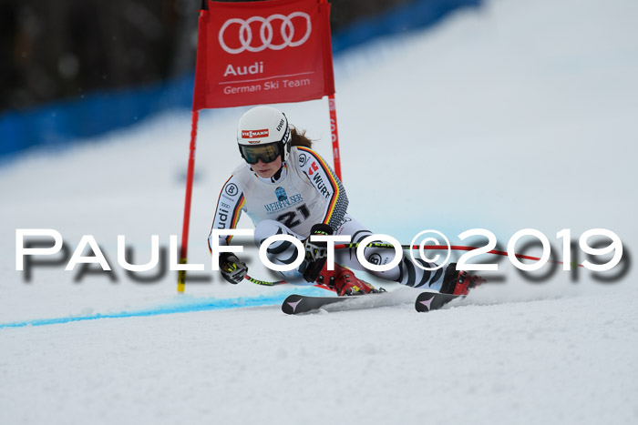 Int. FIS Rennen + NJC  AC Damen, FIS SG, Götschen, 01.02.2019