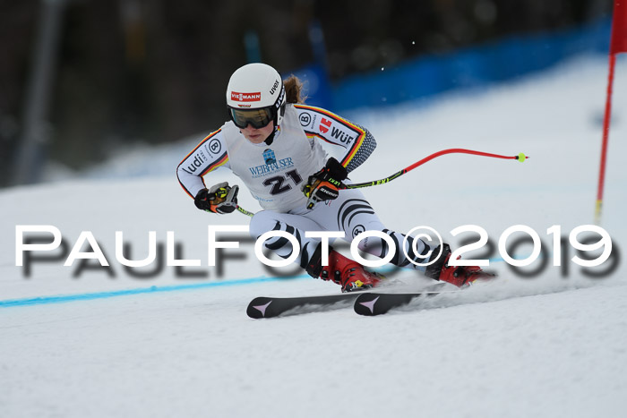 Int. FIS Rennen + NJC  AC Damen, FIS SG, Götschen, 01.02.2019