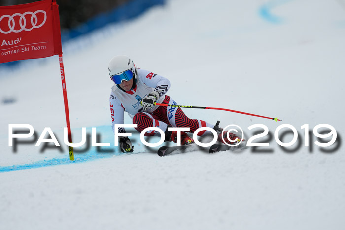 Int. FIS Rennen + NJC  AC Damen, FIS SG, Götschen, 01.02.2019
