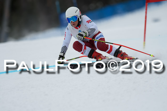 Int. FIS Rennen + NJC  AC Damen, FIS SG, Götschen, 01.02.2019