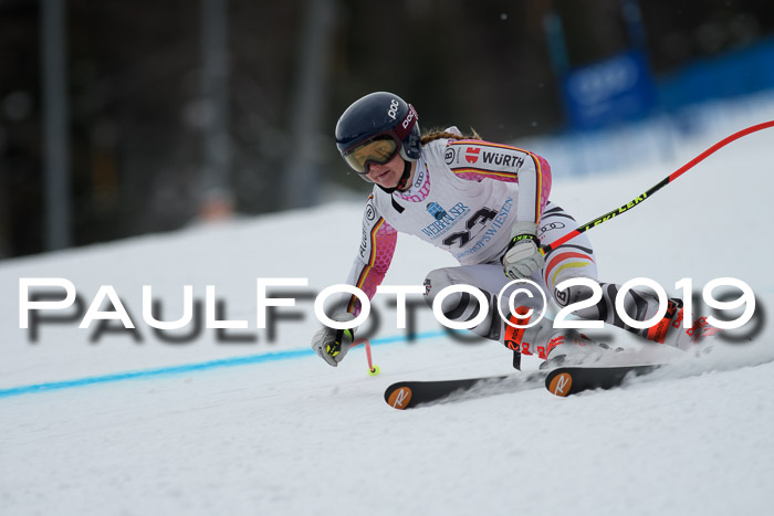 Int. FIS Rennen + NJC  AC Damen, FIS SG, Götschen, 01.02.2019