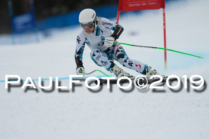 Int. FIS Rennen + NJC  AC Damen, FIS SG, Götschen, 01.02.2019