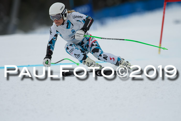 Int. FIS Rennen + NJC  AC Damen, FIS SG, Götschen, 01.02.2019