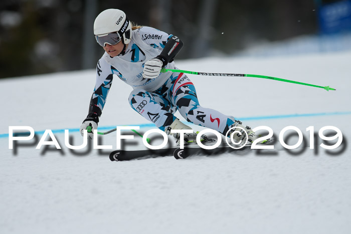 Int. FIS Rennen + NJC  AC Damen, FIS SG, Götschen, 01.02.2019