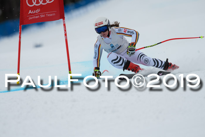 Int. FIS Rennen + NJC  AC Damen, FIS SG, Götschen, 01.02.2019