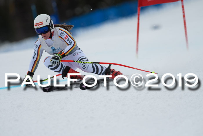 Int. FIS Rennen + NJC  AC Damen, FIS SG, Götschen, 01.02.2019