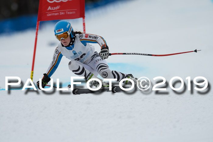 Int. FIS Rennen + NJC  AC Damen, FIS SG, Götschen, 01.02.2019