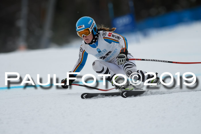 Int. FIS Rennen + NJC  AC Damen, FIS SG, Götschen, 01.02.2019