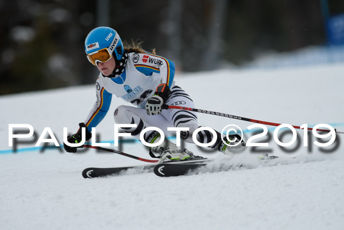 Int. FIS Rennen + NJC  AC Damen, FIS SG, Götschen, 01.02.2019