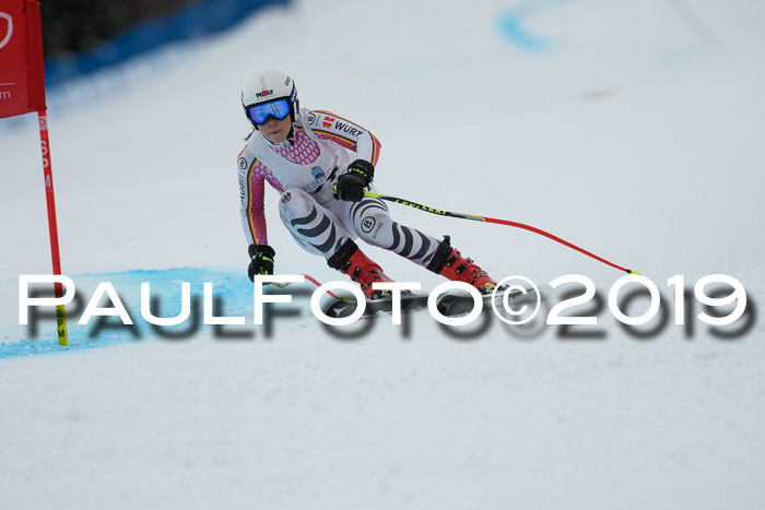 Int. FIS Rennen + NJC  AC Damen, FIS SG, Götschen, 01.02.2019