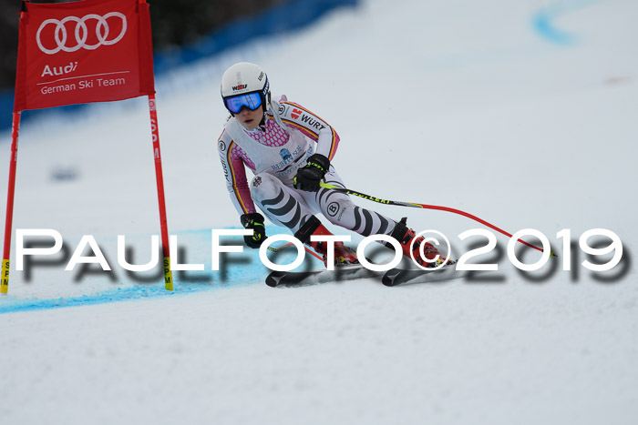 Int. FIS Rennen + NJC  AC Damen, FIS SG, Götschen, 01.02.2019