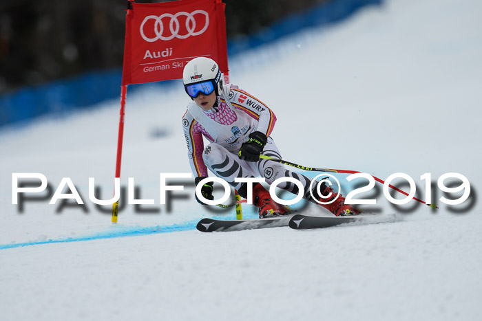 Int. FIS Rennen + NJC  AC Damen, FIS SG, Götschen, 01.02.2019