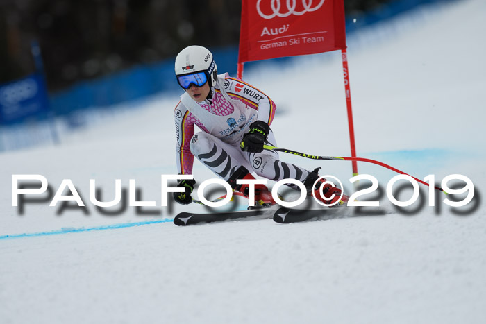 Int. FIS Rennen + NJC  AC Damen, FIS SG, Götschen, 01.02.2019
