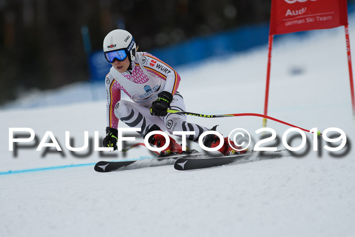 Int. FIS Rennen + NJC  AC Damen, FIS SG, Götschen, 01.02.2019