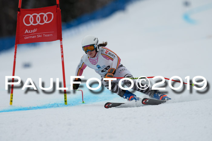 Int. FIS Rennen + NJC  AC Damen, FIS SG, Götschen, 01.02.2019