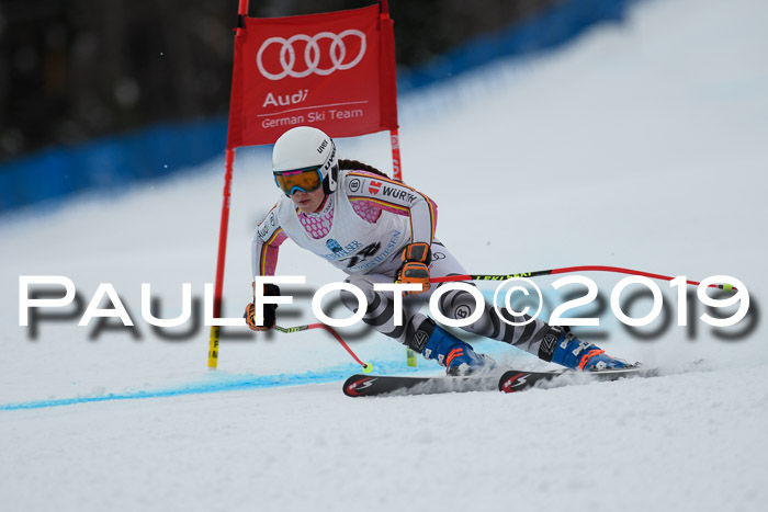 Int. FIS Rennen + NJC  AC Damen, FIS SG, Götschen, 01.02.2019