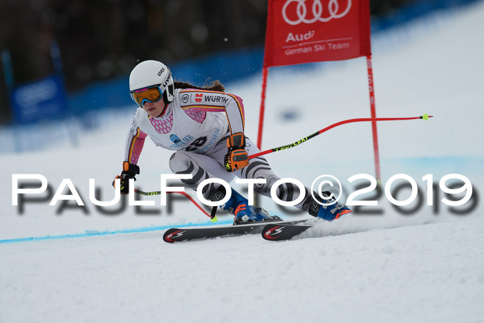 Int. FIS Rennen + NJC  AC Damen, FIS SG, Götschen, 01.02.2019