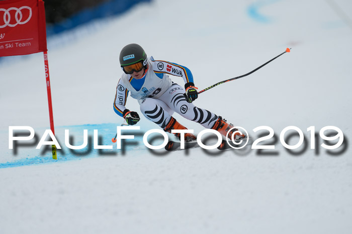 Int. FIS Rennen + NJC  AC Damen, FIS SG, Götschen, 01.02.2019