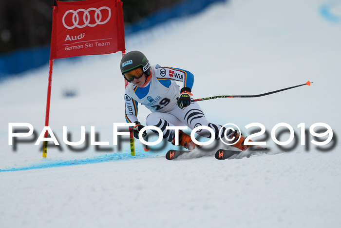 Int. FIS Rennen + NJC  AC Damen, FIS SG, Götschen, 01.02.2019