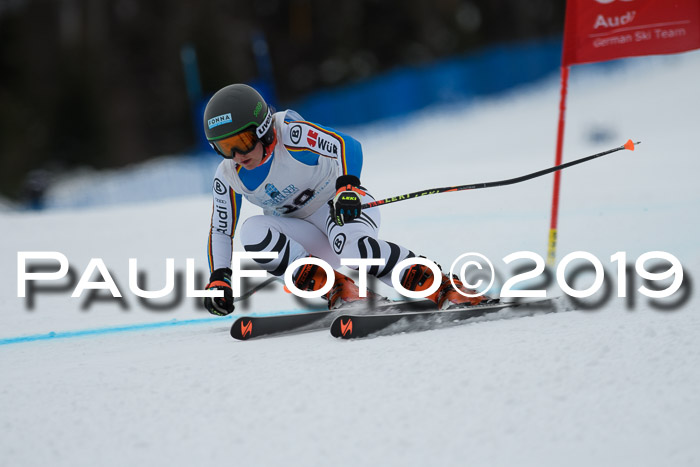 Int. FIS Rennen + NJC  AC Damen, FIS SG, Götschen, 01.02.2019