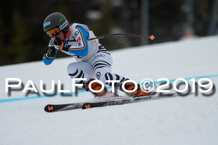 Int. FIS Rennen + NJC  AC Damen, FIS SG, Götschen, 01.02.2019