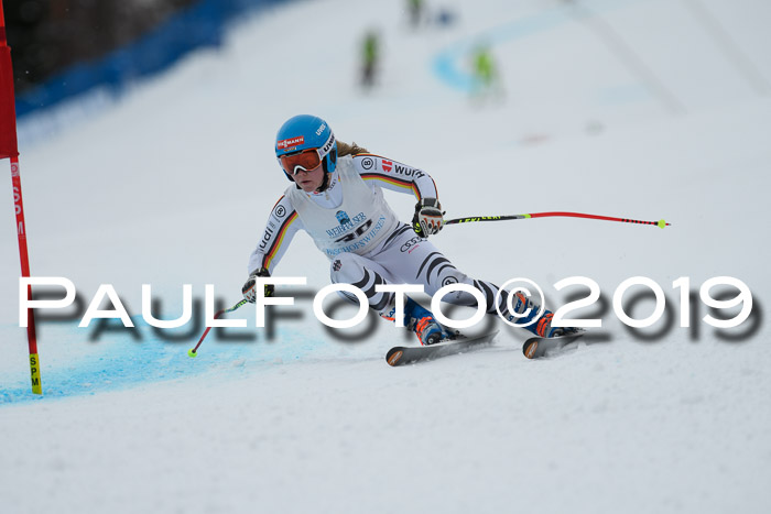 Int. FIS Rennen + NJC  AC Damen, FIS SG, Götschen, 01.02.2019