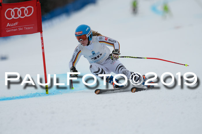 Int. FIS Rennen + NJC  AC Damen, FIS SG, Götschen, 01.02.2019