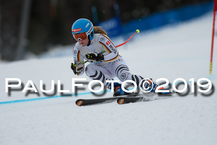 Int. FIS Rennen + NJC  AC Damen, FIS SG, Götschen, 01.02.2019