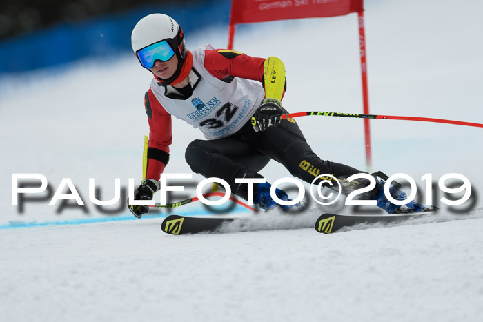 Int. FIS Rennen + NJC  AC Damen, FIS SG, Götschen, 01.02.2019