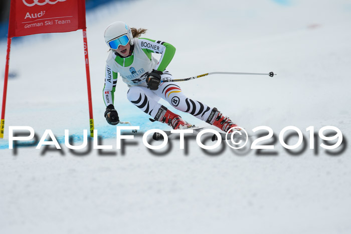 Int. FIS Rennen + NJC  AC Damen, FIS SG, Götschen, 01.02.2019