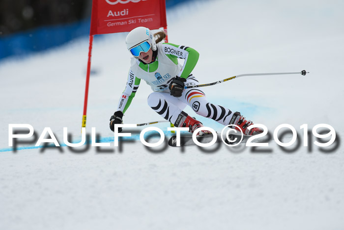 Int. FIS Rennen + NJC  AC Damen, FIS SG, Götschen, 01.02.2019
