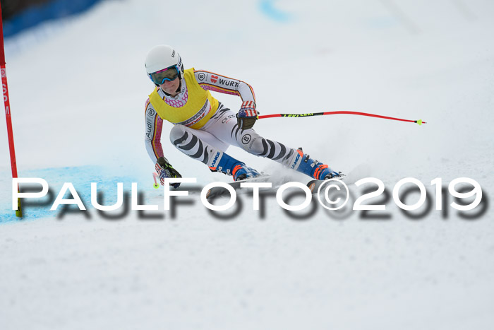 Int. FIS Rennen + NJC  AC Damen, FIS SG, Götschen, 01.02.2019
