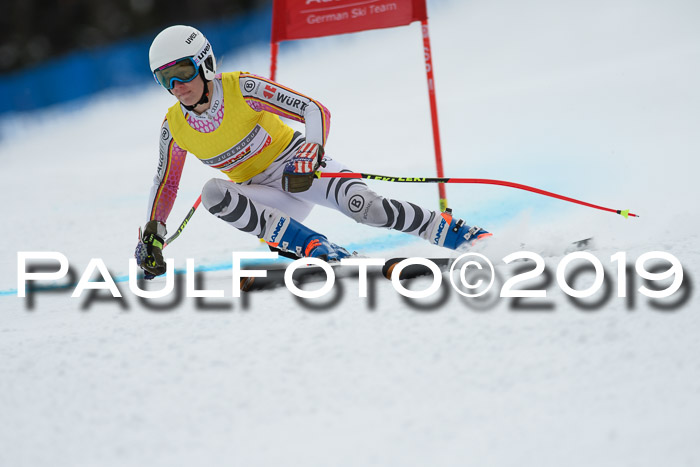 Int. FIS Rennen + NJC  AC Damen, FIS SG, Götschen, 01.02.2019