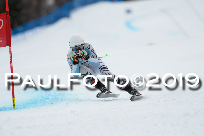 Int. FIS Rennen + NJC  AC Damen, FIS SG, Götschen, 01.02.2019