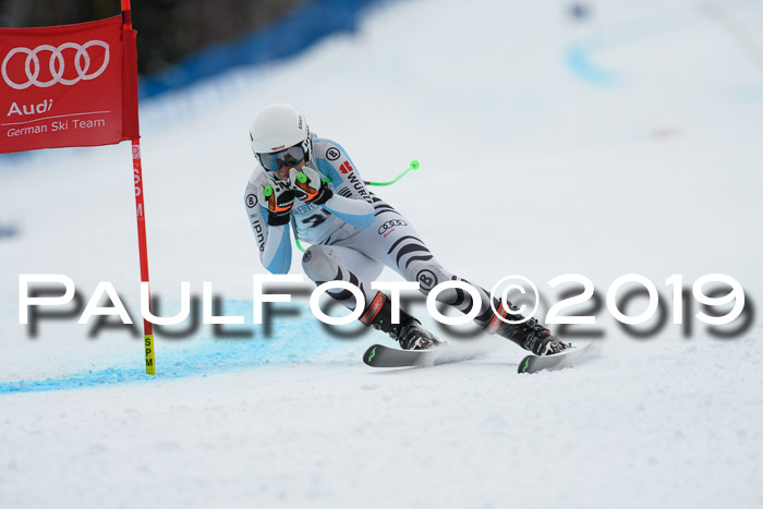 Int. FIS Rennen + NJC  AC Damen, FIS SG, Götschen, 01.02.2019