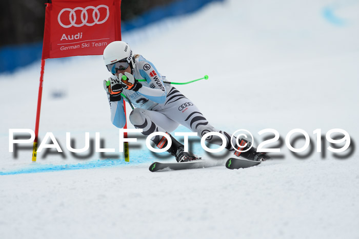 Int. FIS Rennen + NJC  AC Damen, FIS SG, Götschen, 01.02.2019