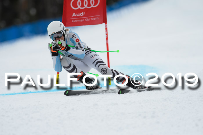 Int. FIS Rennen + NJC  AC Damen, FIS SG, Götschen, 01.02.2019