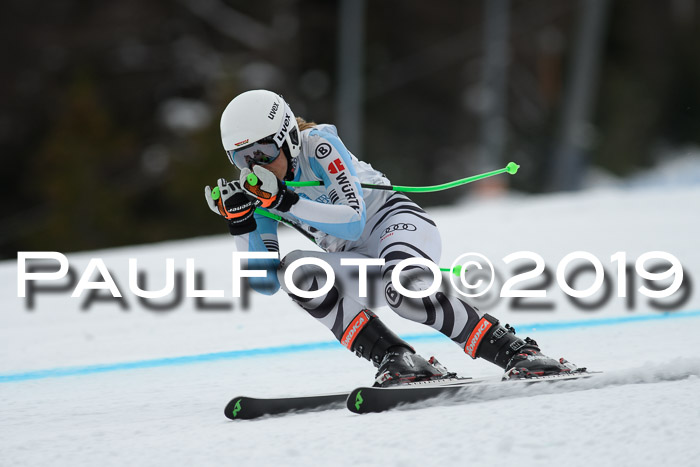Int. FIS Rennen + NJC  AC Damen, FIS SG, Götschen, 01.02.2019
