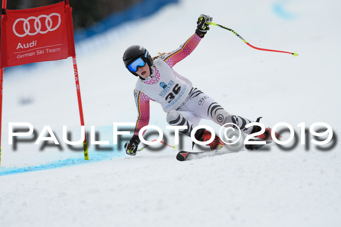 Int. FIS Rennen + NJC  AC Damen, FIS SG, Götschen, 01.02.2019