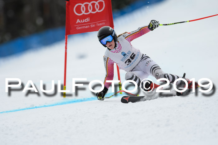 Int. FIS Rennen + NJC  AC Damen, FIS SG, Götschen, 01.02.2019