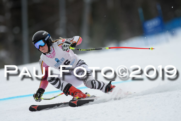 Int. FIS Rennen + NJC  AC Damen, FIS SG, Götschen, 01.02.2019