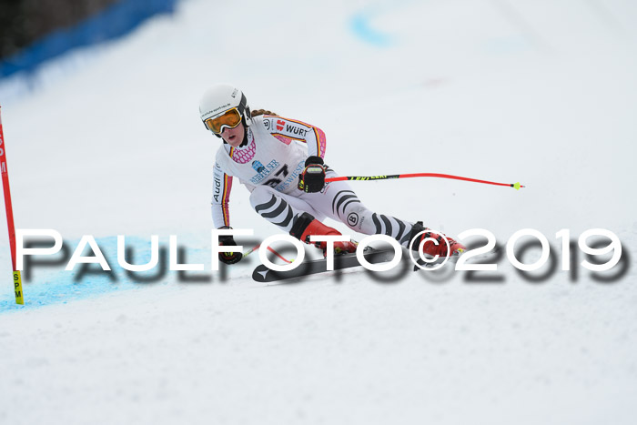 Int. FIS Rennen + NJC  AC Damen, FIS SG, Götschen, 01.02.2019