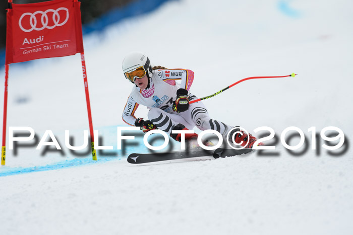 Int. FIS Rennen + NJC  AC Damen, FIS SG, Götschen, 01.02.2019