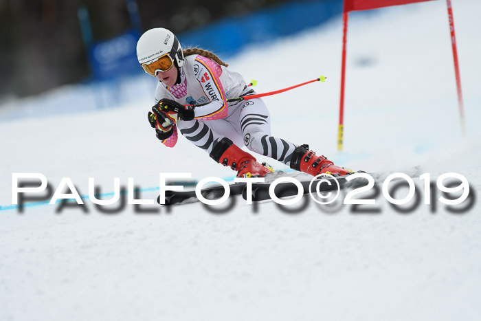 Int. FIS Rennen + NJC  AC Damen, FIS SG, Götschen, 01.02.2019