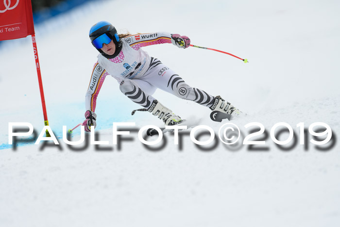 Int. FIS Rennen + NJC  AC Damen, FIS SG, Götschen, 01.02.2019