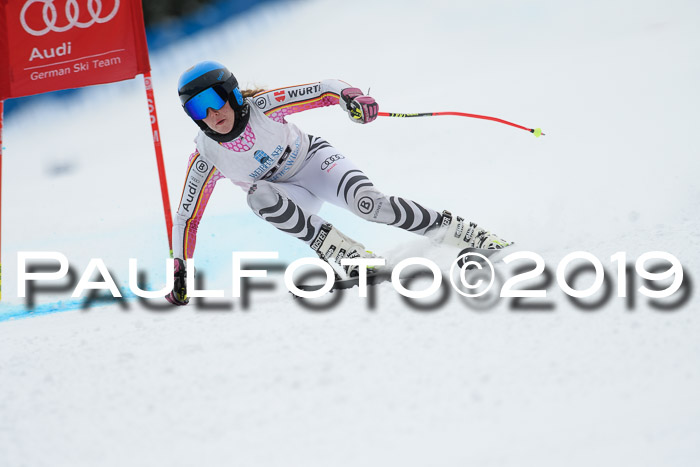 Int. FIS Rennen + NJC  AC Damen, FIS SG, Götschen, 01.02.2019