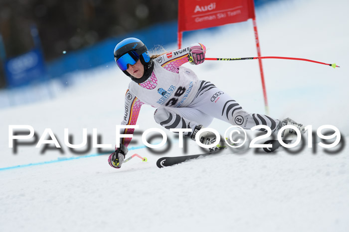 Int. FIS Rennen + NJC  AC Damen, FIS SG, Götschen, 01.02.2019