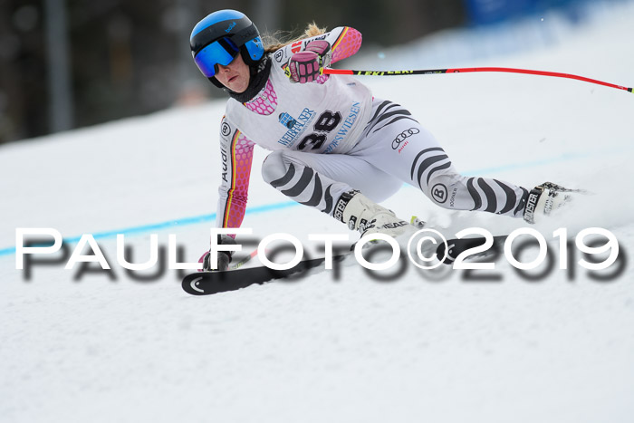 Int. FIS Rennen + NJC  AC Damen, FIS SG, Götschen, 01.02.2019